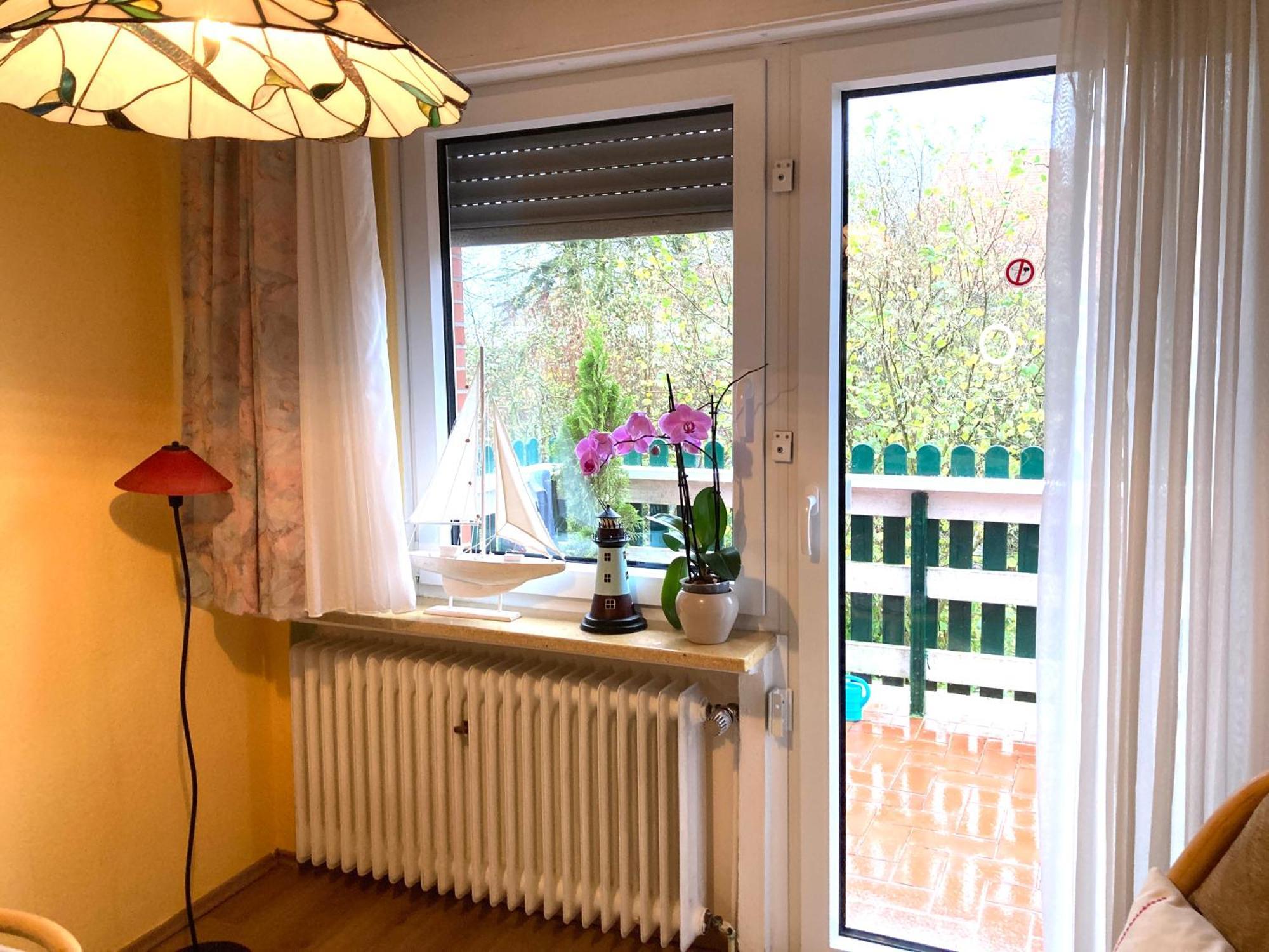 Sonnenblume * Leer (Ostfriesland)